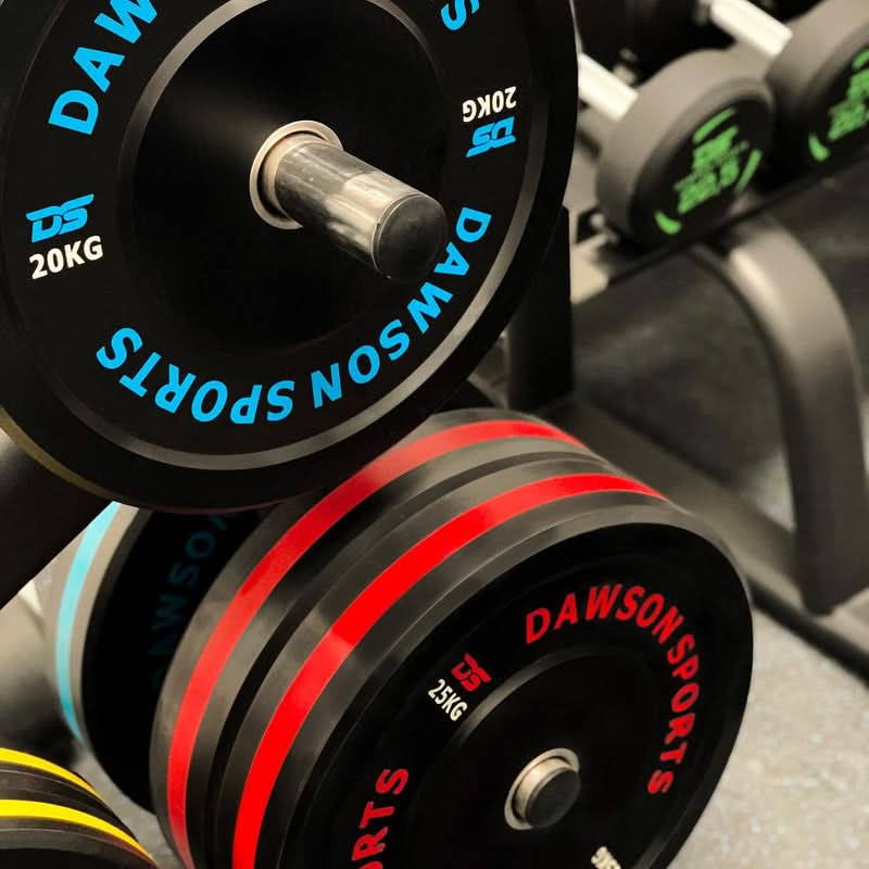 DS Rubber Bumper Plates (w/ upturned ring) - 20kg