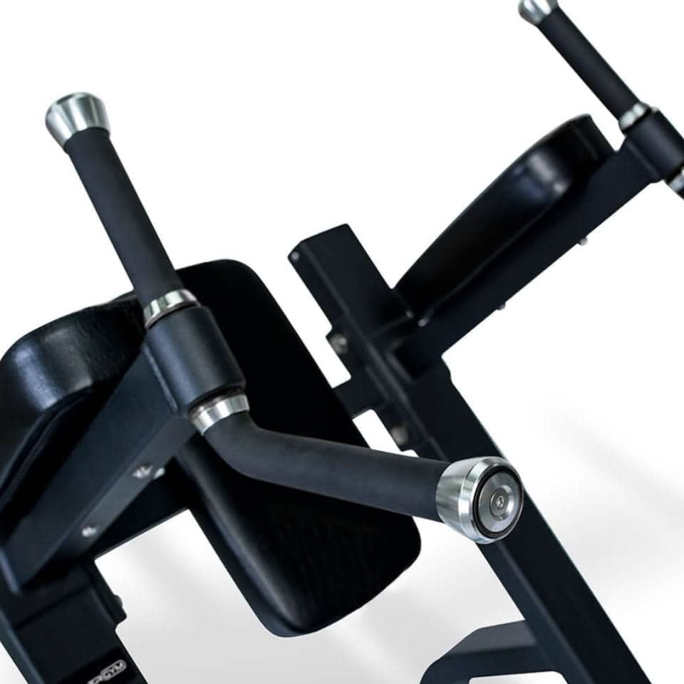 1441 Fitness 41FF47B Vertical Knee Raise – Dip & Core Training Tower