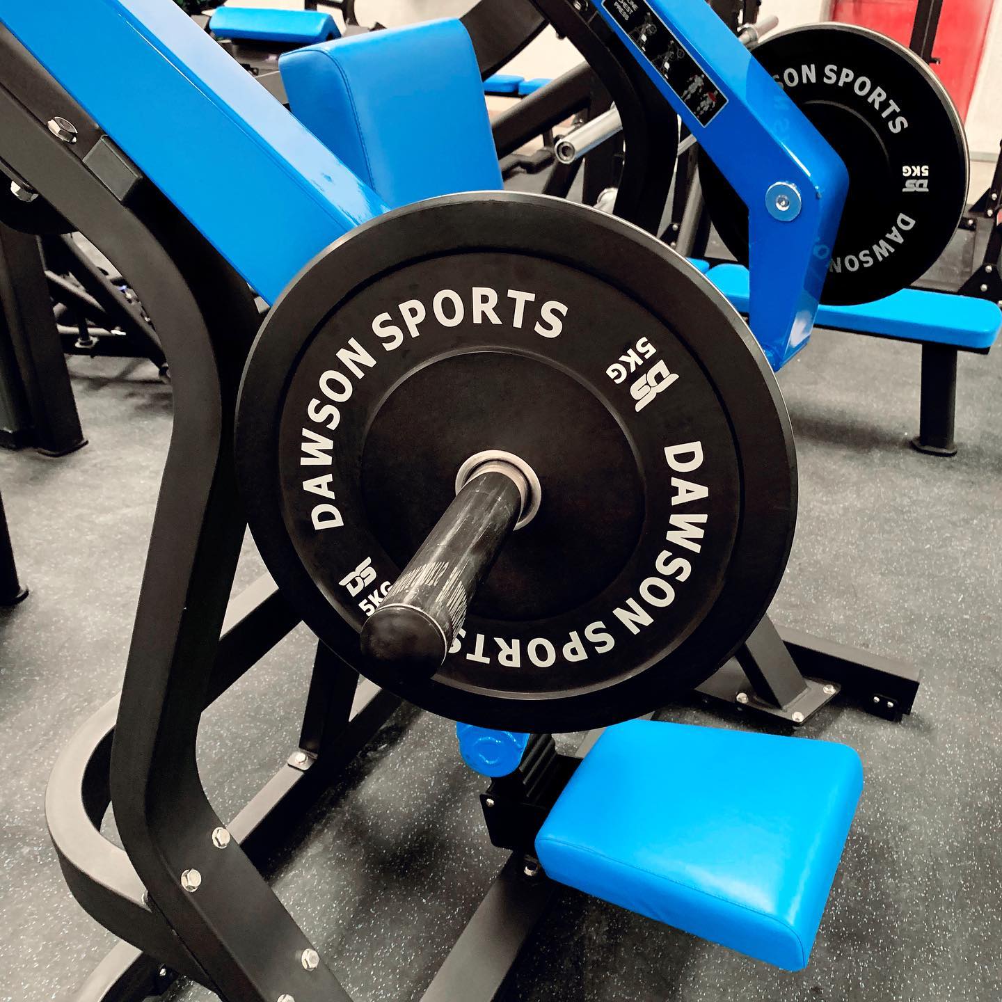 DS Rubber Bumper Plates (w/ upturned ring) - 15kg