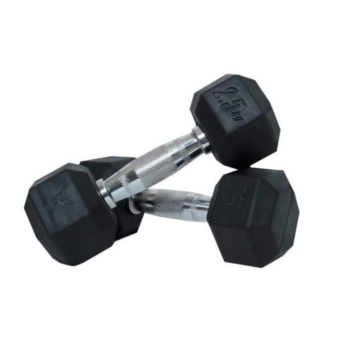 Combo Harley Fitness Premium Hex Dumbbell Set – Strength Training Equipment – Gym Equipment – 2.5 to 10 Kg – 4 Pairs