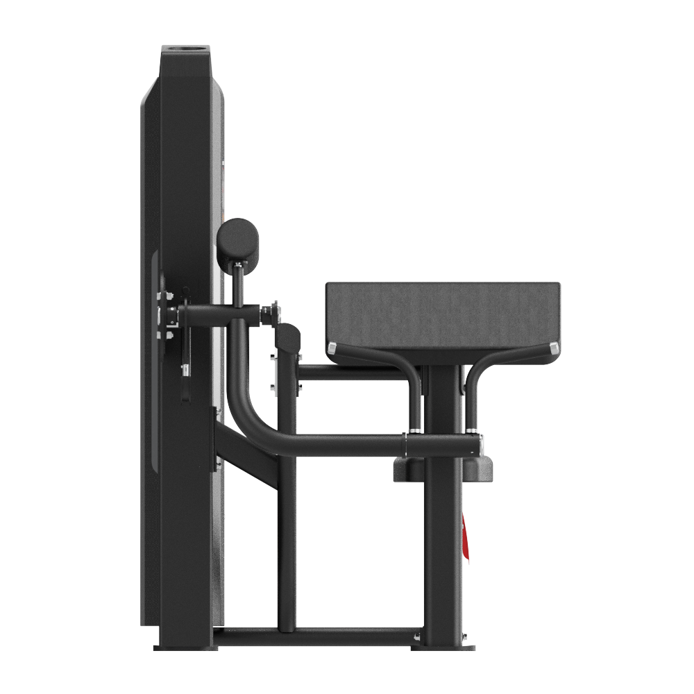 Insight Fitness Biceps Curl – SA006
