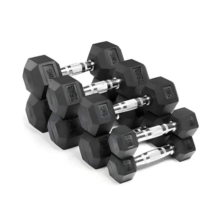 Combo Harley Fitness Premium Hex Dumbbell Set – Strength Training Equipment – Gym Equipment – 2.5 to 10 Kg – 4 Pairs