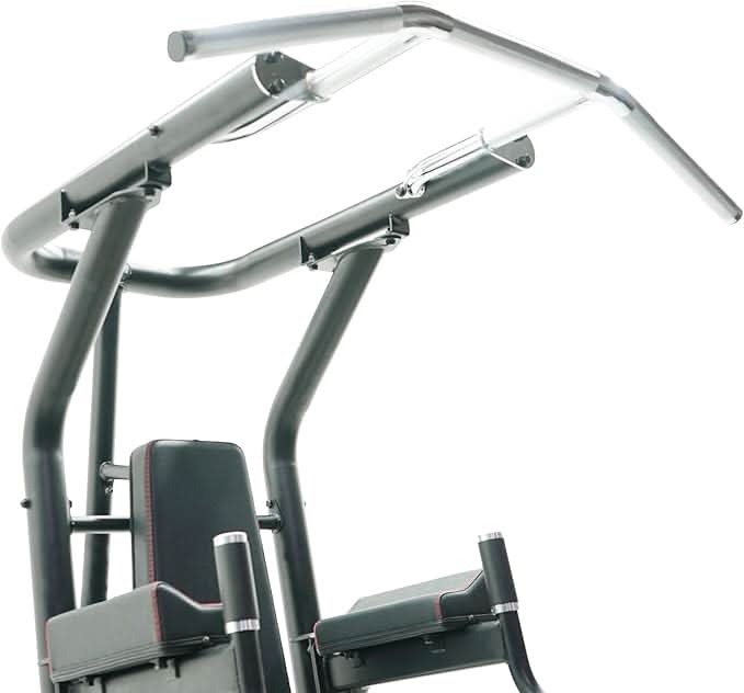 Inspire Fitness Chin Dip VKR Station