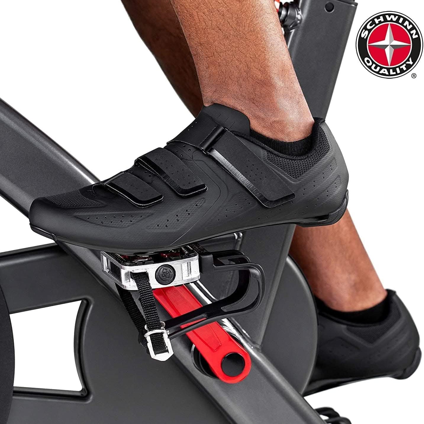 Schwinn IC8 Indoor Cycling Bike (800IC)