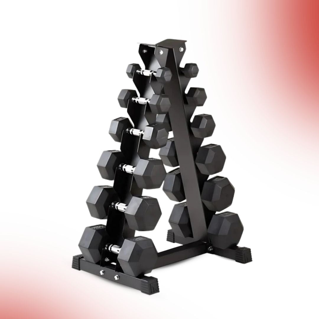 Leom Fitness 6 Pair Vertical Dumbbell Rack