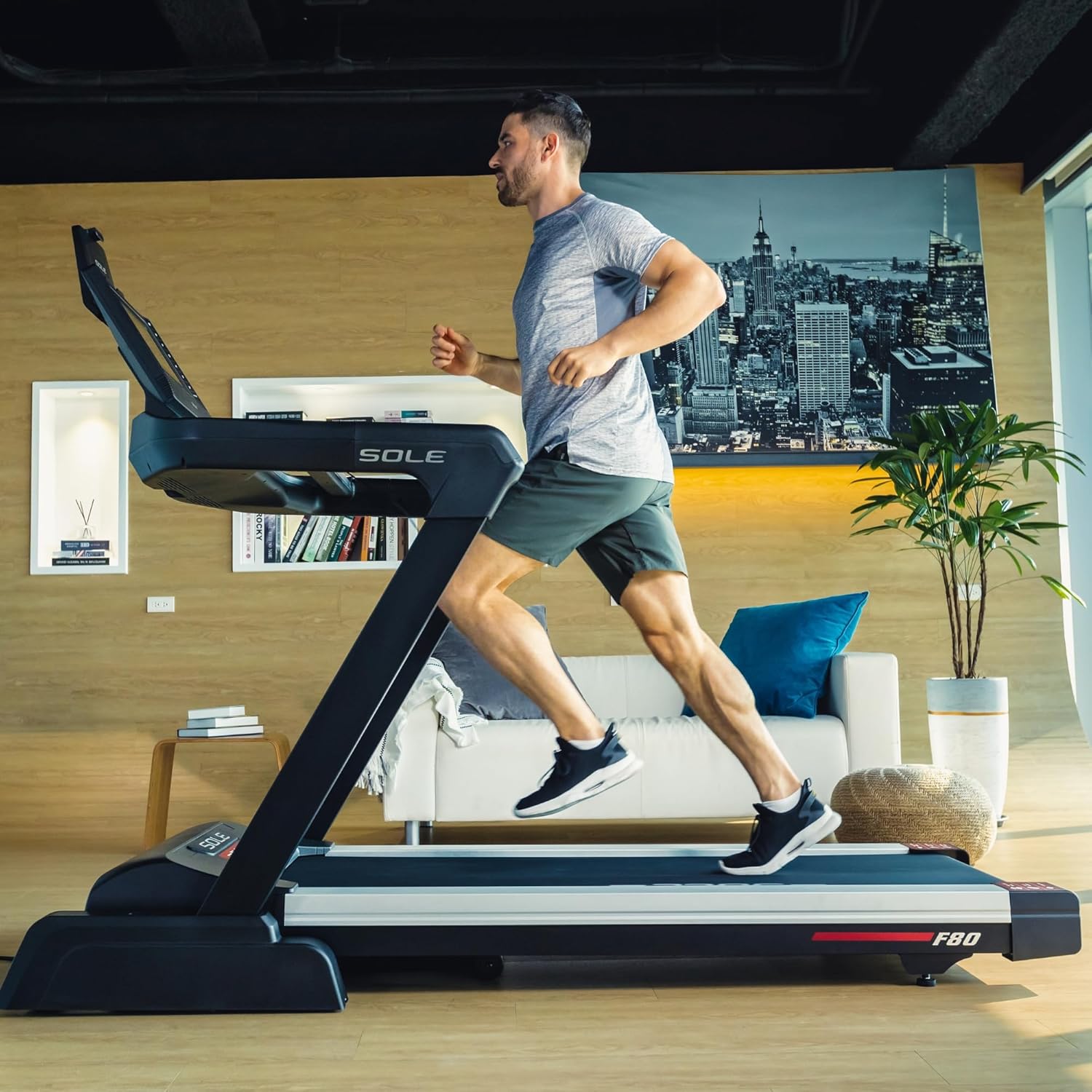 Sole Fitness F80 Treadmill, New Model