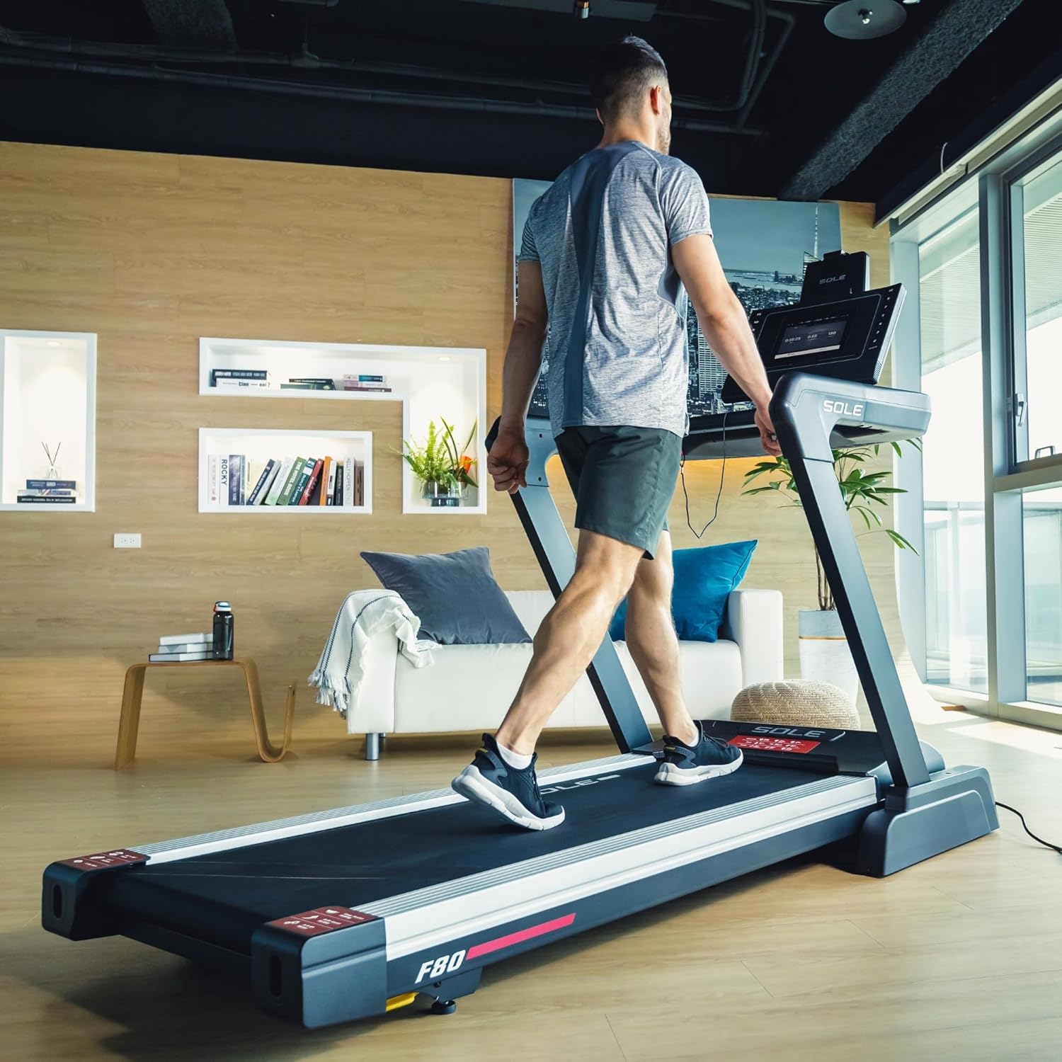 Sole Fitness F80 Treadmill, New Model