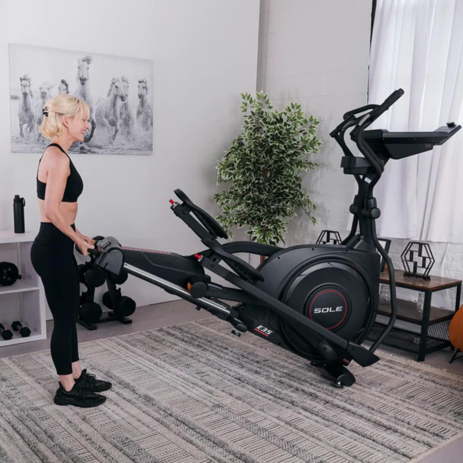 Sole Fitness E25 Elliptical Trainer, New Model