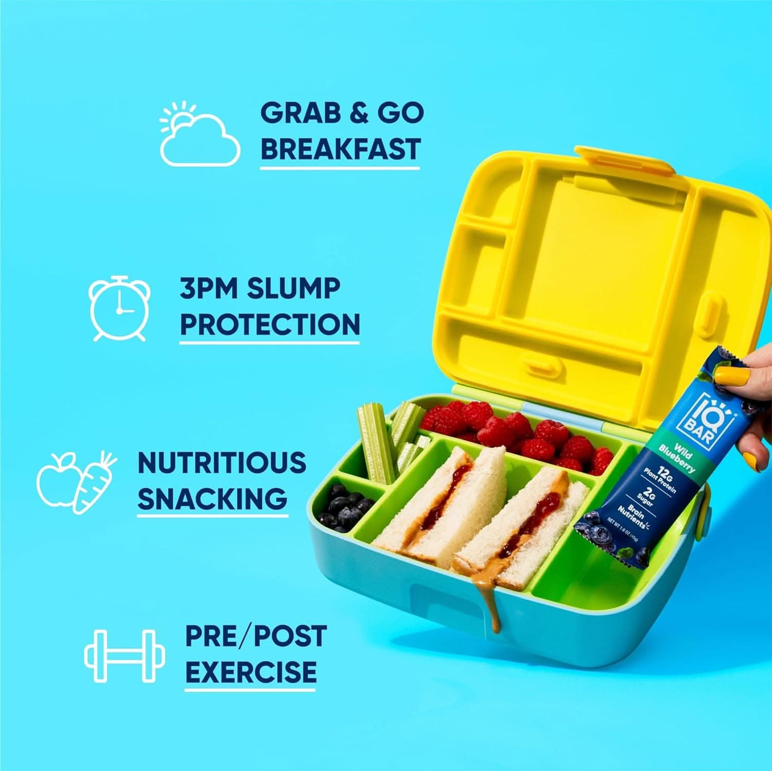 IQ BAR Brain + Body Bars, Wild Blueberry | Keto, Paleo-Friendly, Vegan | 11g Protein, 1g Sugar, 4g Net Carbs | Non-GMO, Gluten-Free, No Sugar Alcohols | 12-Count