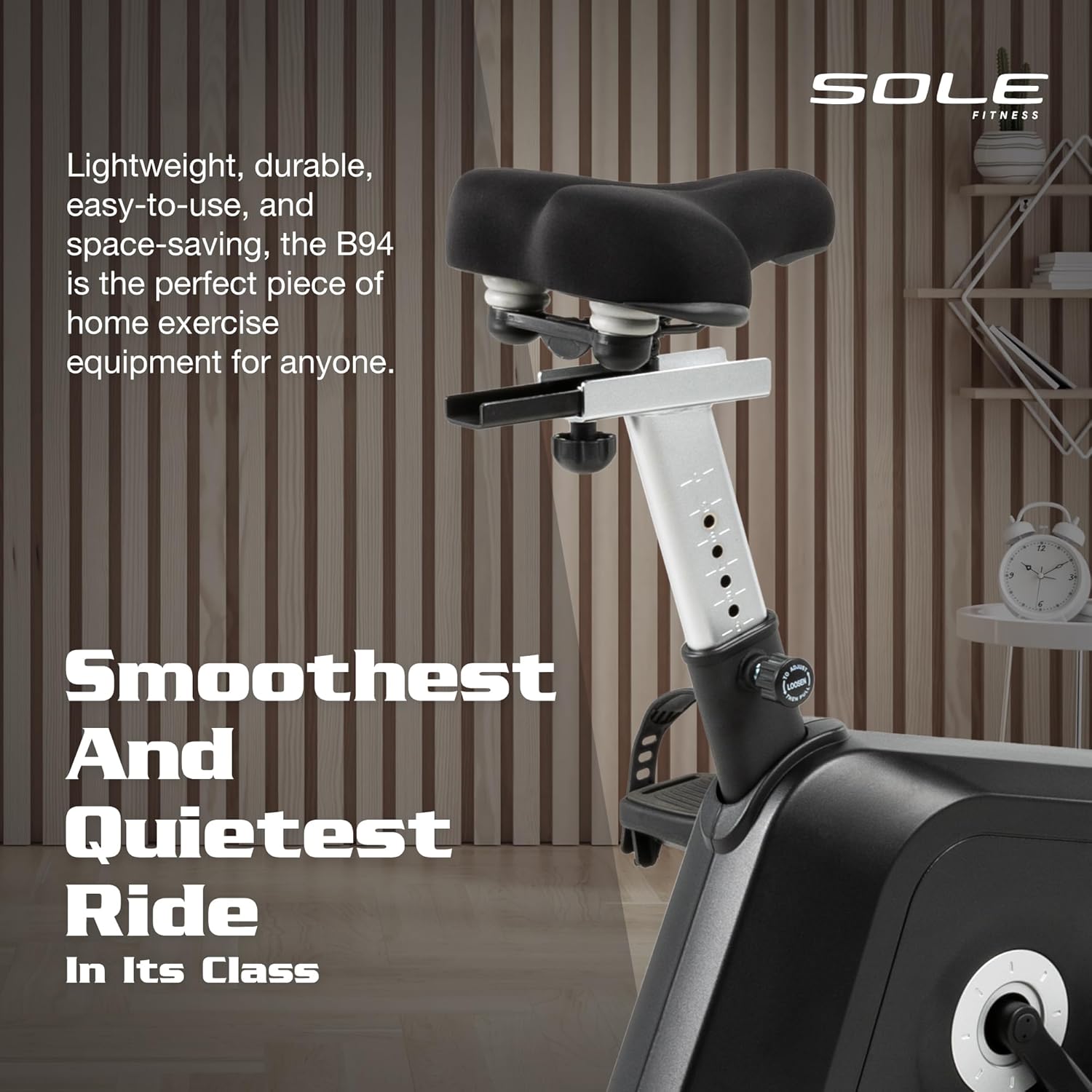 Sole Fitness B94 Home Use Upright Bike