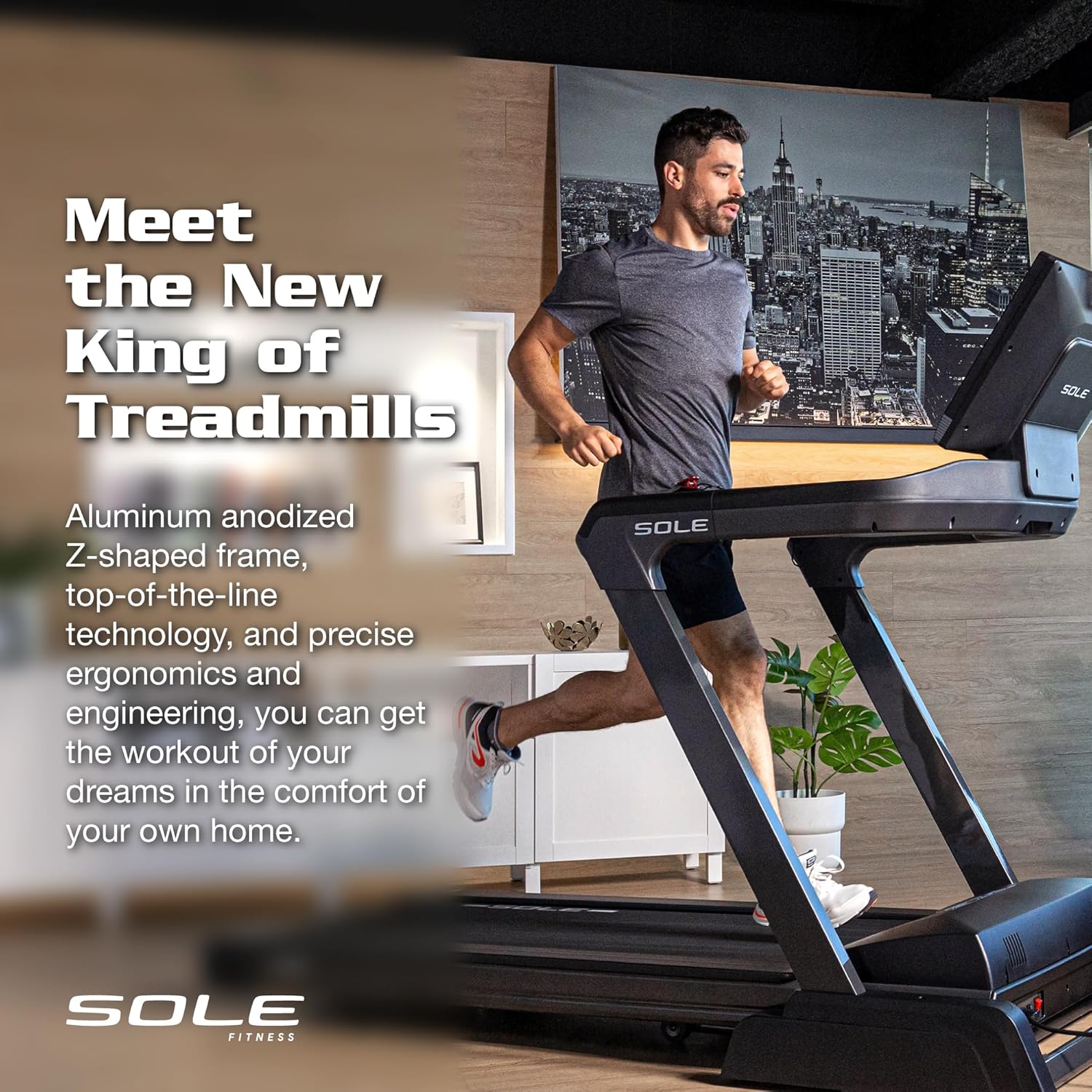 Sole Fitness F89 Treadmill, New Model