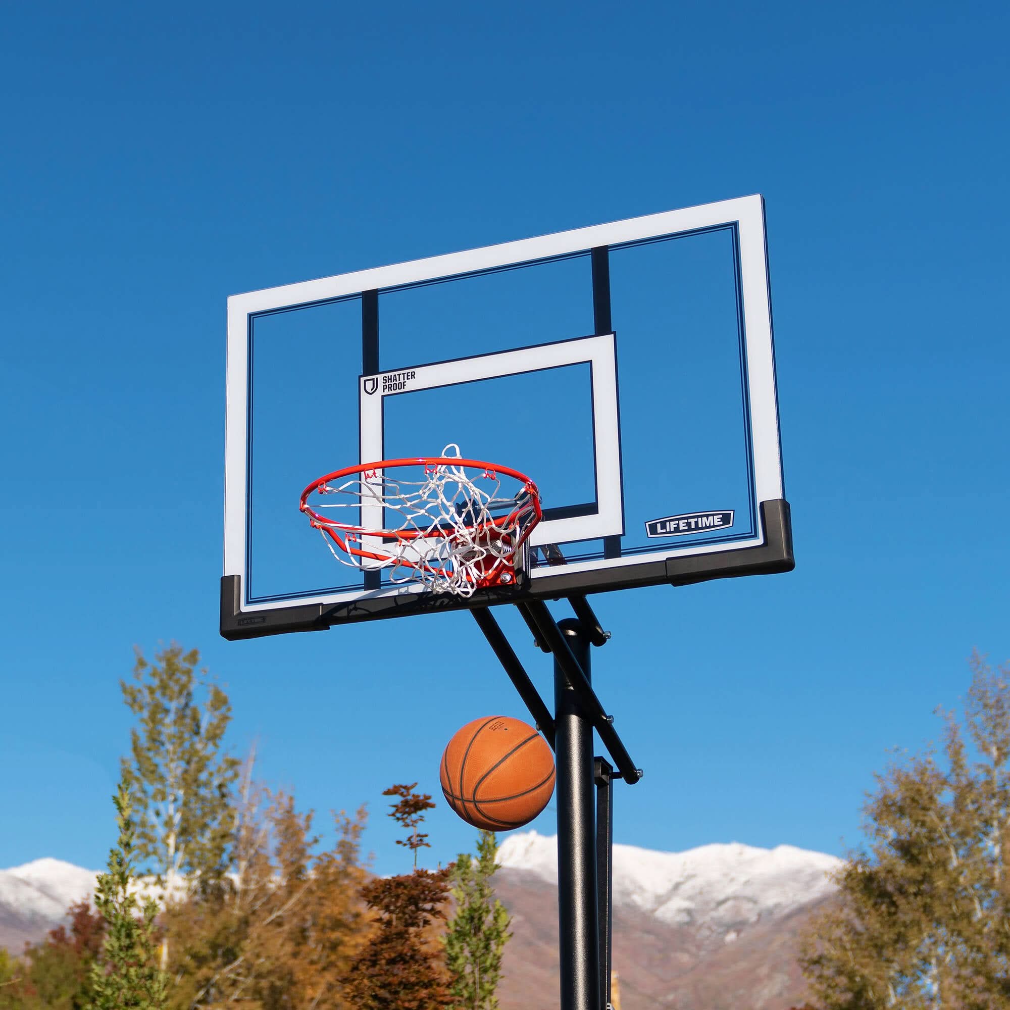 Lifetime 52Ó Portable Basketball Hoop