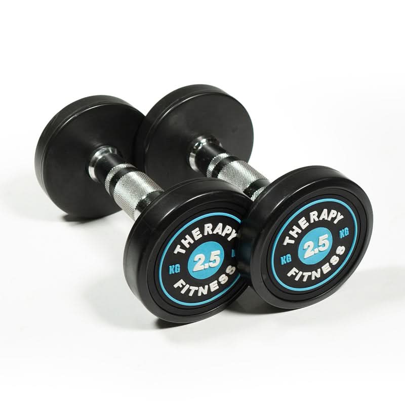 Therapy Fitness Cast Iron Round Dumbbells (Pair) - 2.5kg