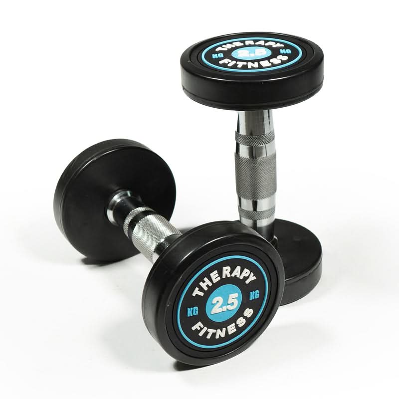 Therapy Fitness Cast Iron Round Dumbbells (Pair) - 2.5kg