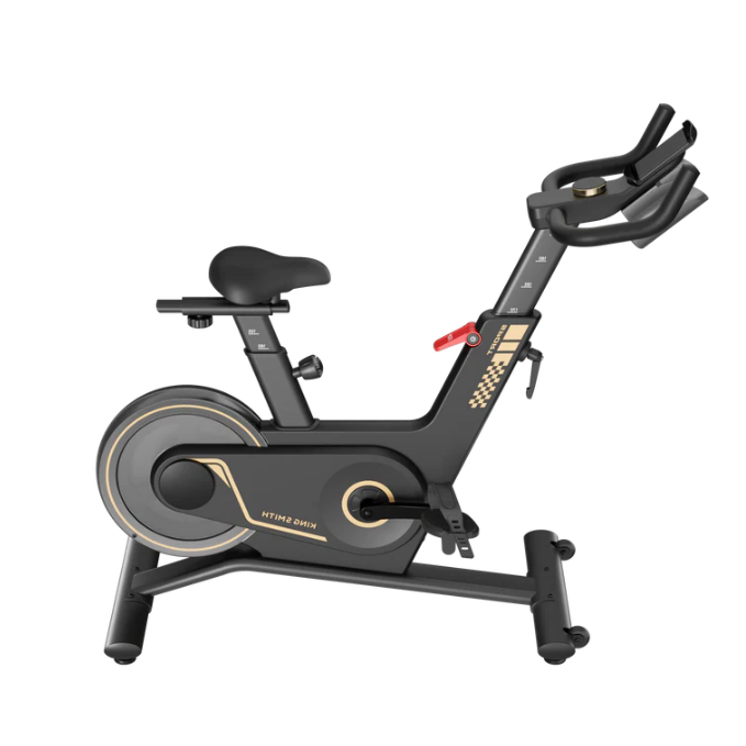Kingsmith Spinning Bike Indoor Bike, PB08S Black