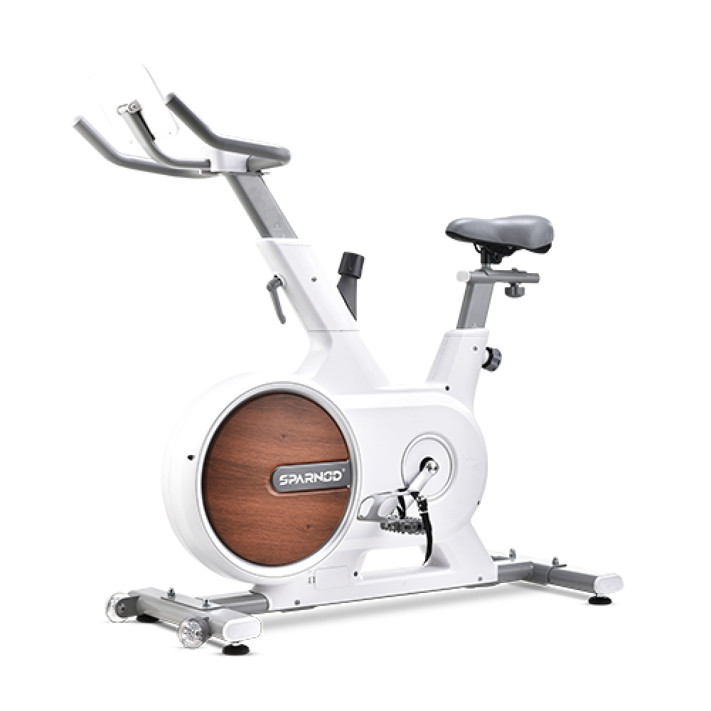 Sparnod Fitness Exercise Bike, SSB-12