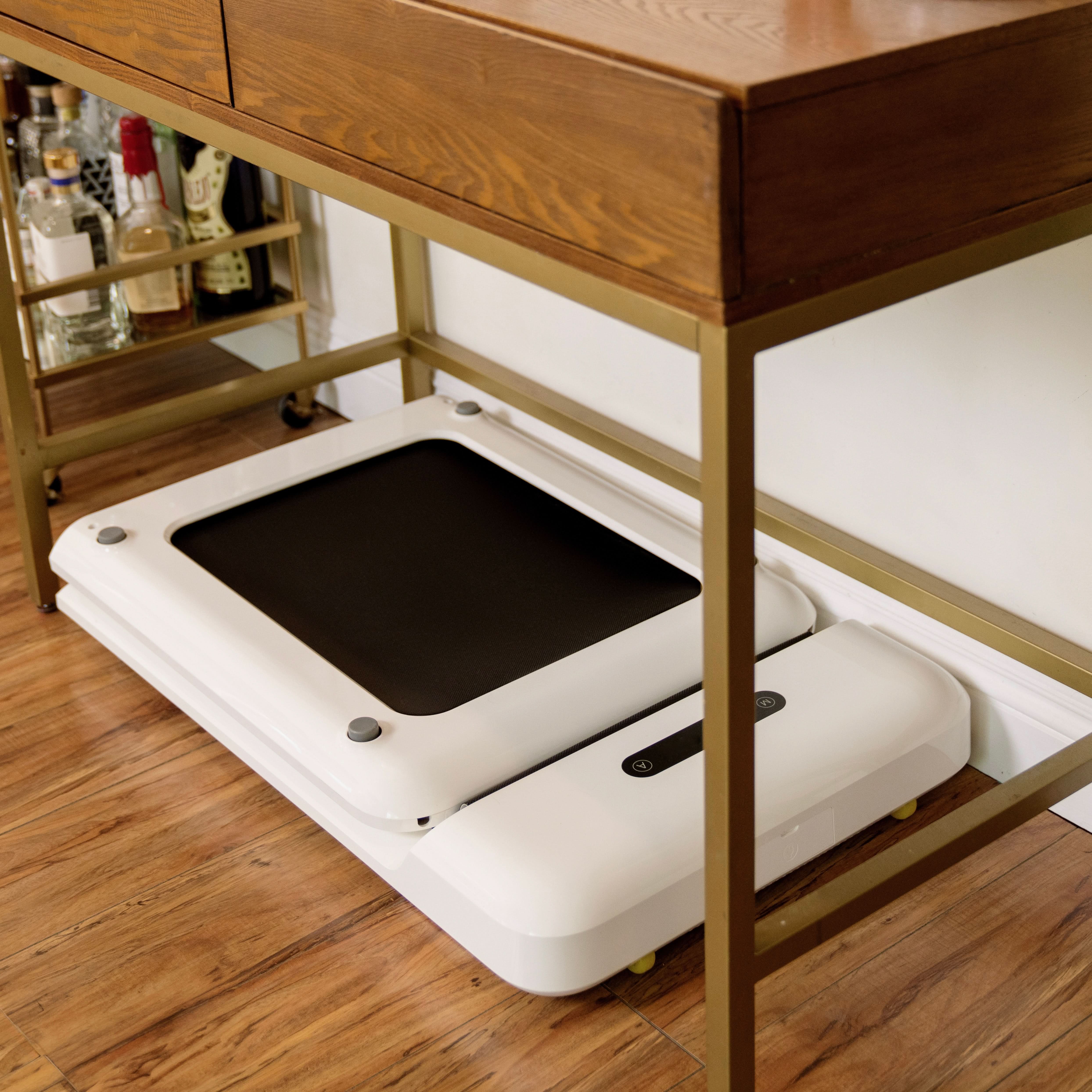 Kingsmith C2 Walkingpad Treadmill