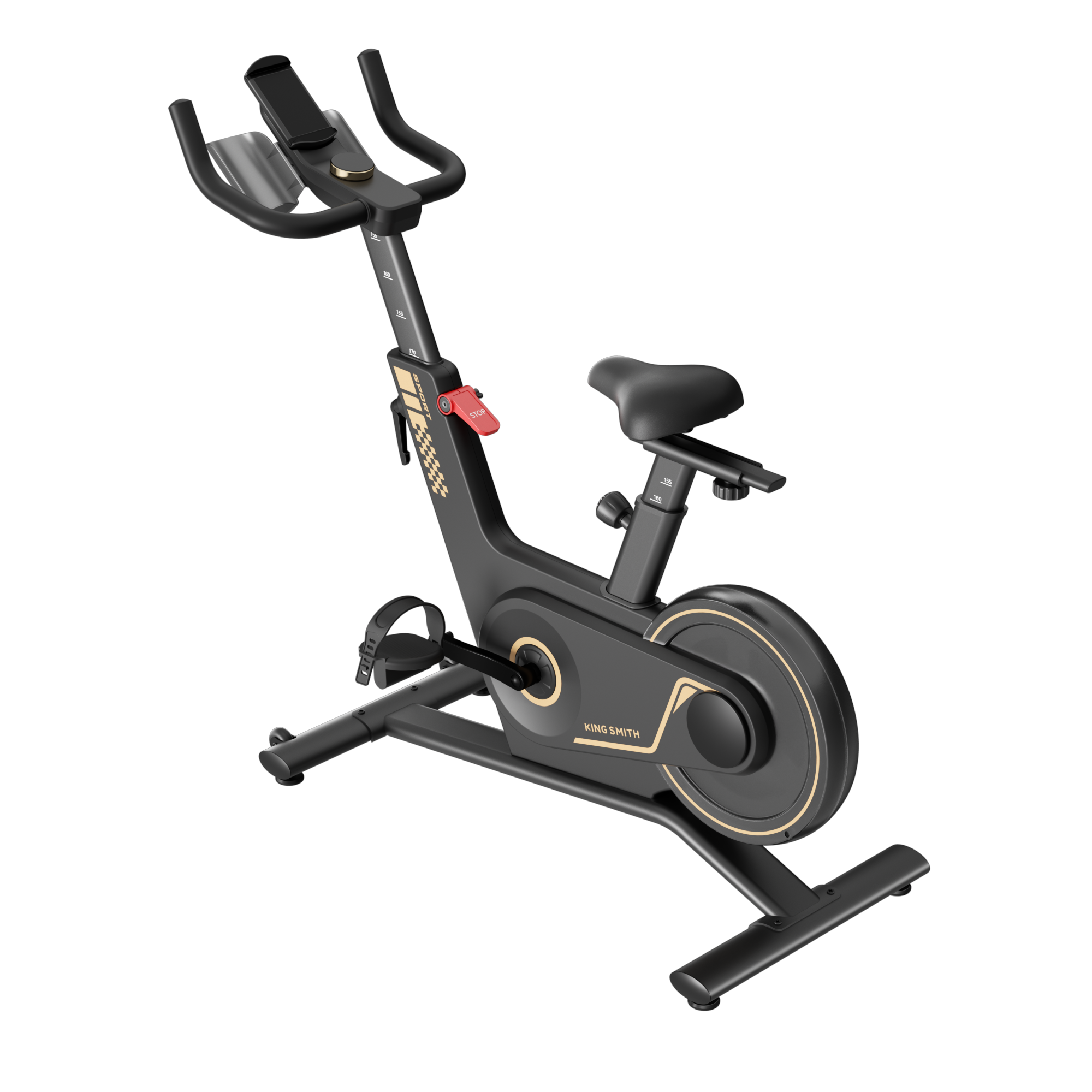 Kingsmith Spinning Bike Indoor Bike, PB08S