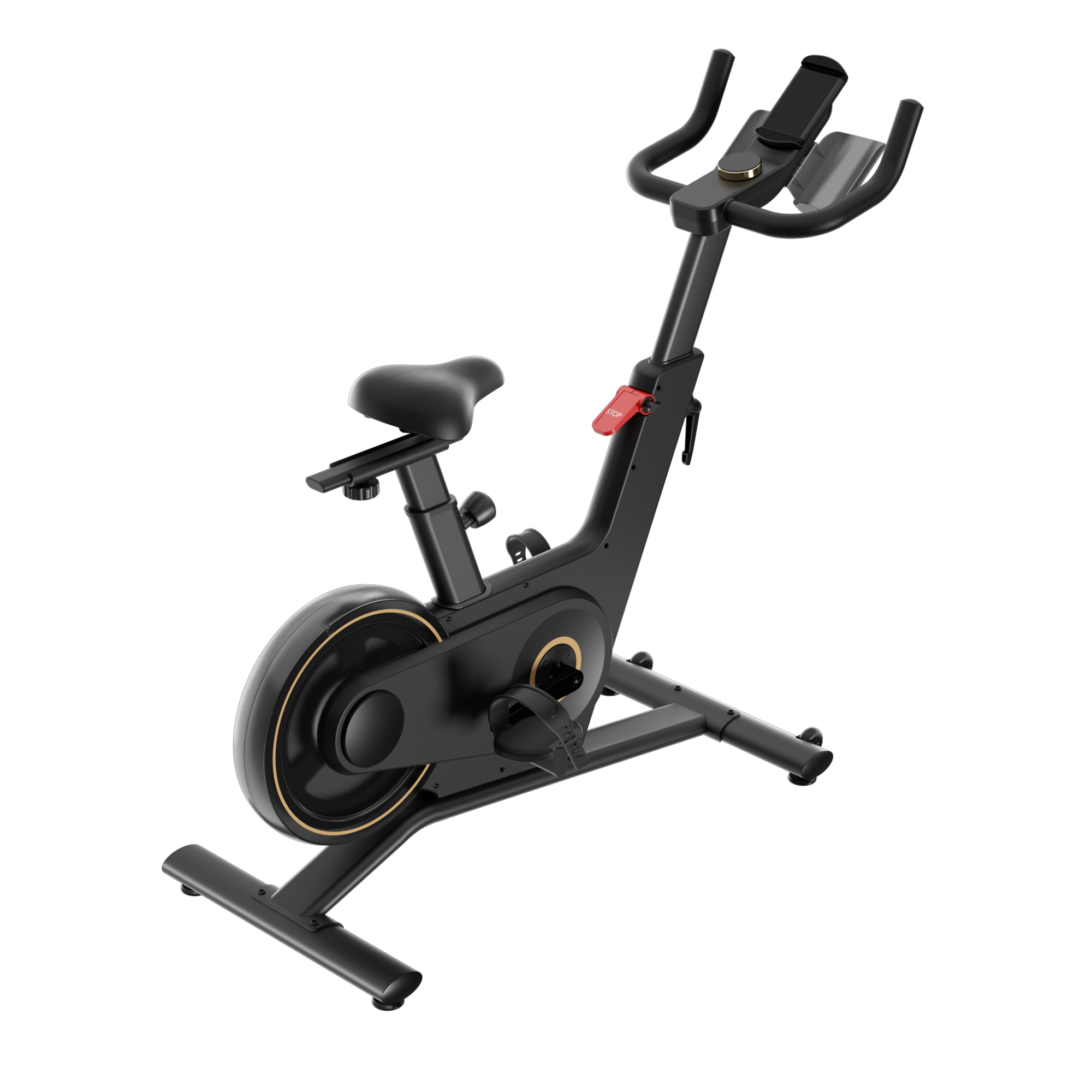 Kingsmith Spinning Bike Indoor Bike, PB08S