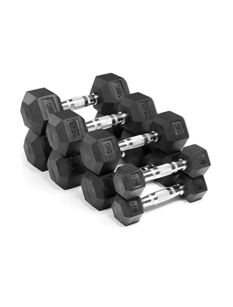 Combo Harley Fitness Premium Hex Dumbbell Set – Strength Training Equipment – Gym Equipment – 2.5 to 10 Kg – 4 Pairs