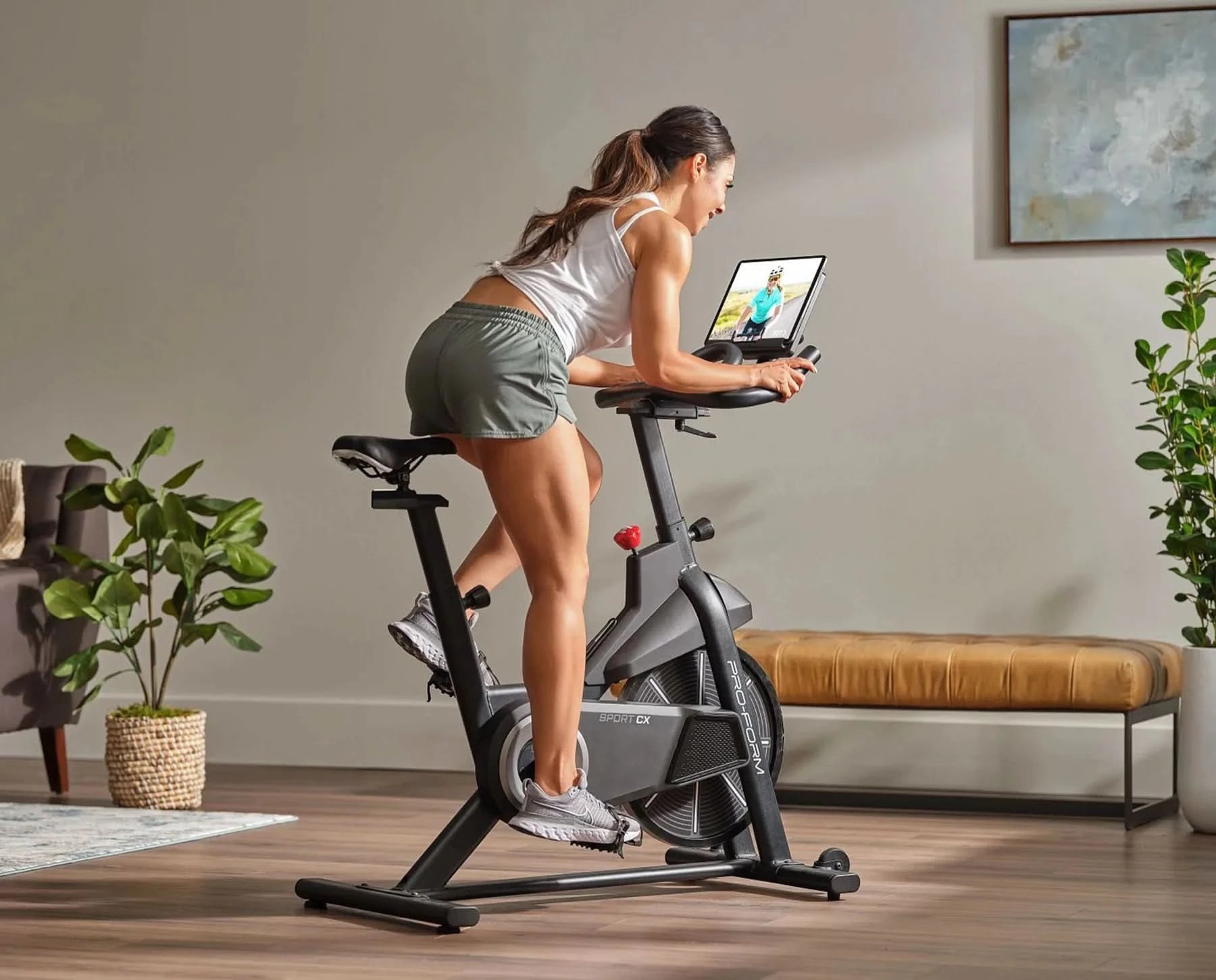 ProForm Sport CX Indoor Bike