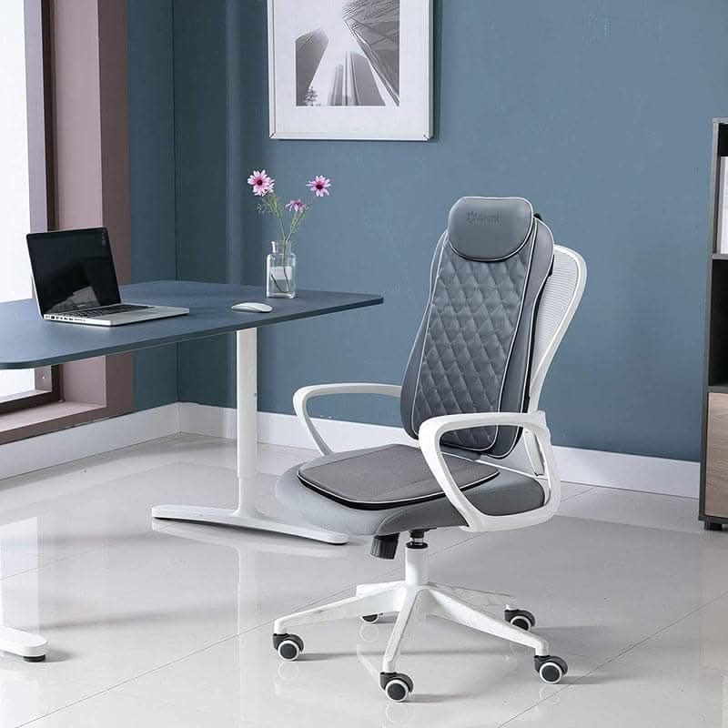 Rotai Massage Chair Pad