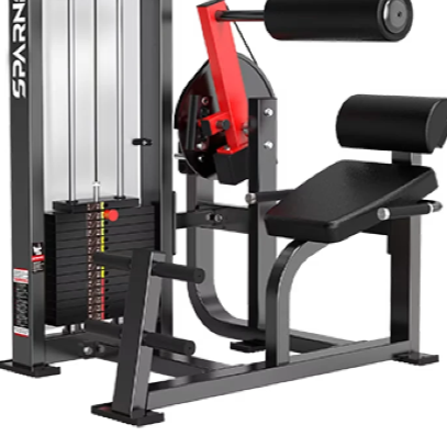 Sparnod Fitness Back Extension, HAM-21