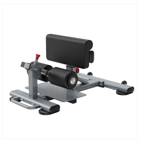 Insight Fitness Sissy Squat Machine DR038 – Grey | Quad & Lower Body Strength Trainer