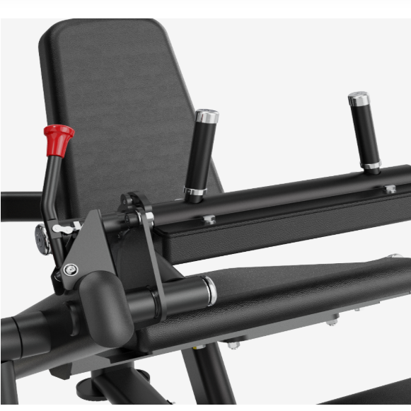 Insight Fitness, LegCurl / Extension SA037E, Black