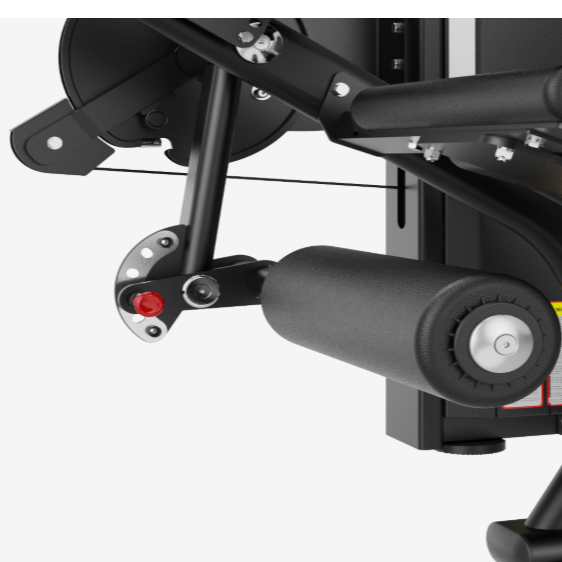 Insight Fitness, LegCurl / Extension SA037E, Black