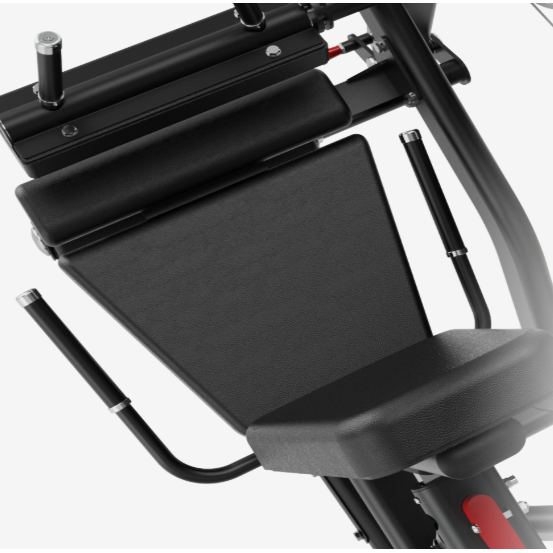 Insight Fitness, LegCurl / Extension SA037E, Black