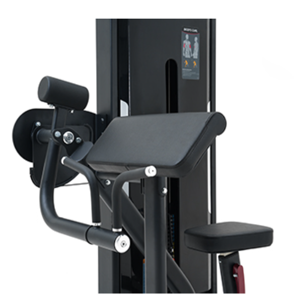 Insight Fitness Biceps Curl Machine SA006D – Black | Arm Workout Gym Equipment
