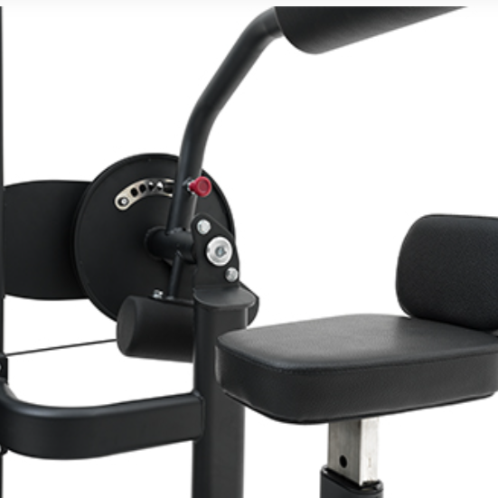 Insight Fitness Abdominal & Back Extension Machine SA009D – Black | Core Strength Equipment