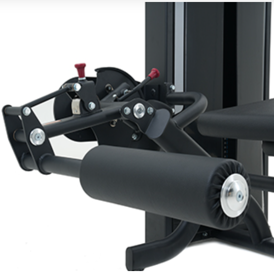 Insight Fitness, LegCurl SA015D, Black
