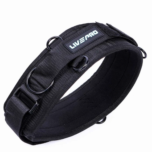 LivePro Single Combat Trainer | LP8425