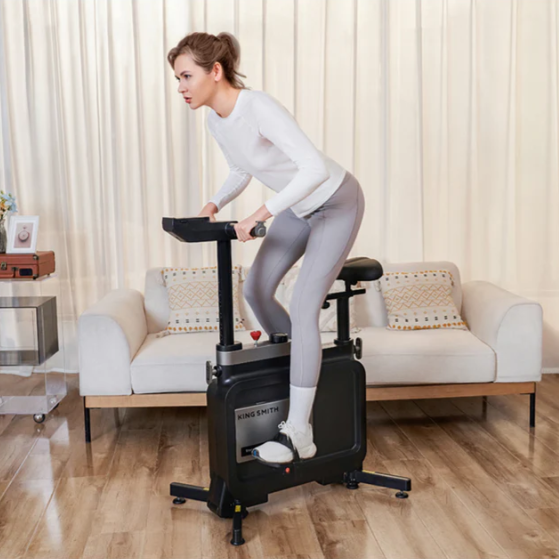 Kingsmith W1B 3 IN 1 Foldable Exercise Bike, Under Desk Bike