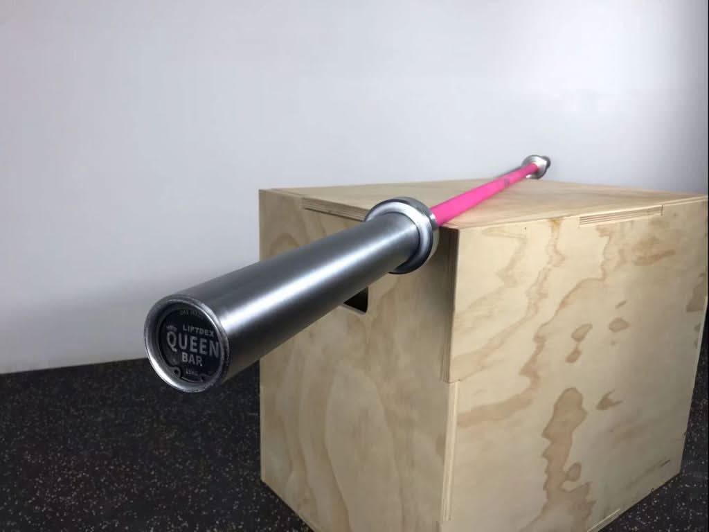 Liftdex Pink Barbell: 210 Psi Steel | 8 Needle Bearings | Powerlifting | Women'S Weightlifting