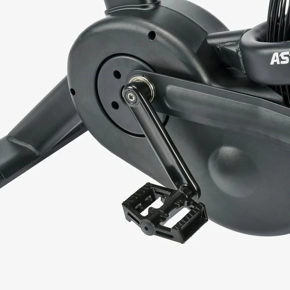 Assault AirBike Pro