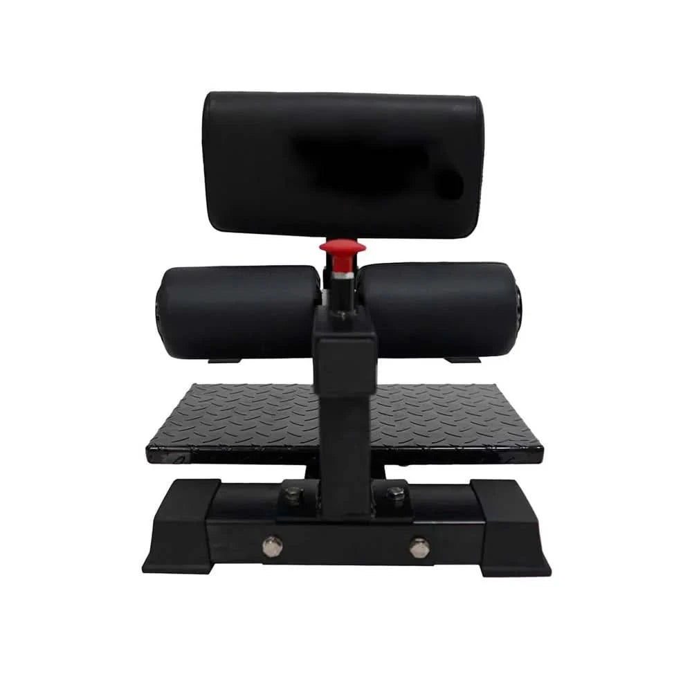 1441 Fitness Sissy Squat Machine – Adjustable Quad and Core Workout Trainer for Home Gym