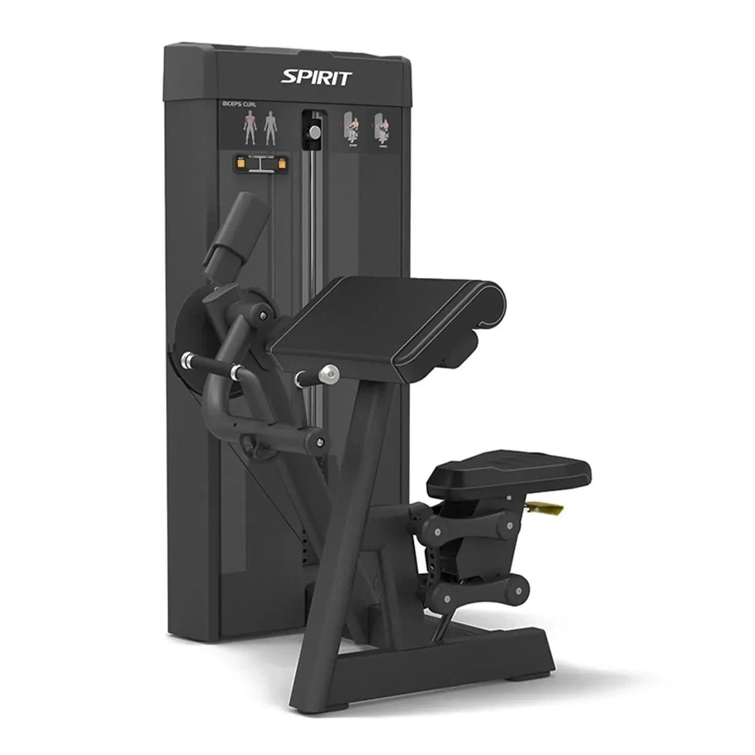 Spirit Fitness Biceps Curl SP-4307 – Commercial Gym Strength Machine