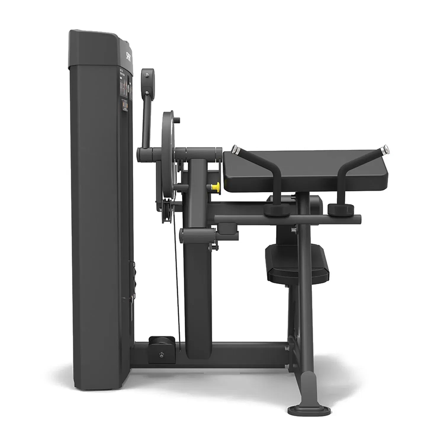 Spirit Fitness Biceps Curl & Triceps Extension