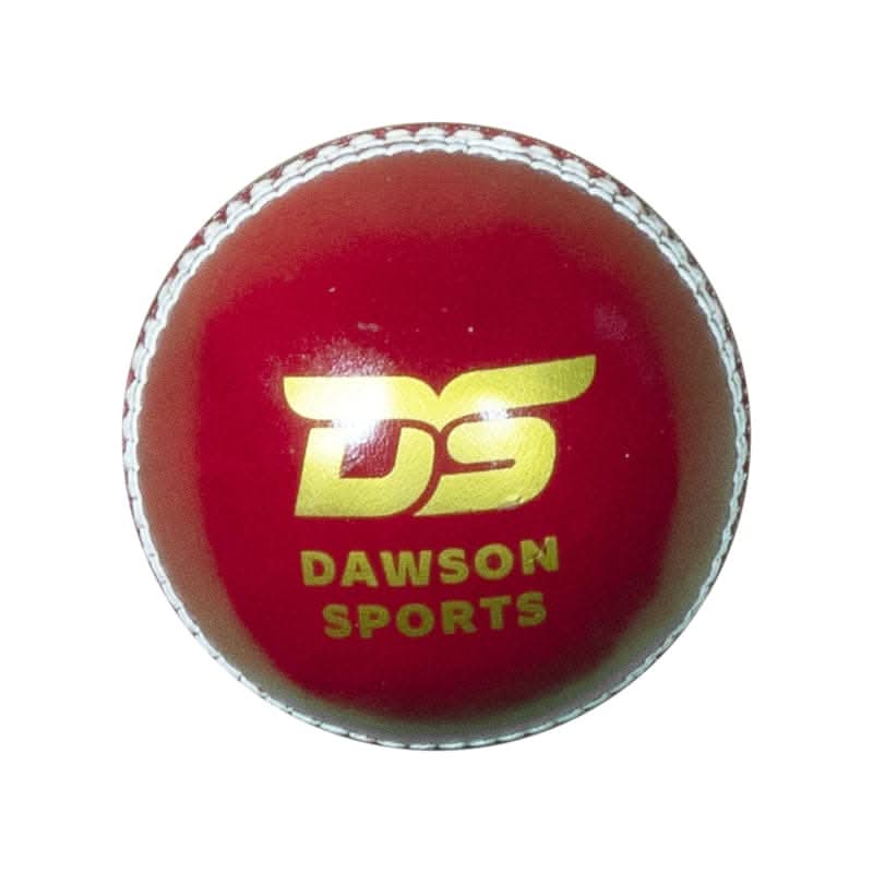 DS Club Leather d Cricket Ball - Junior