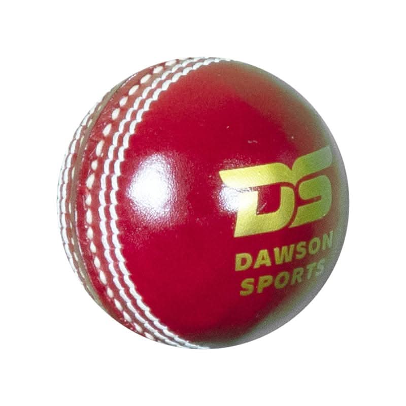 DS Club Leather d Cricket Ball - Junior
