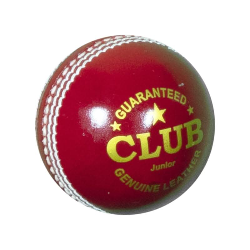 DS Club Leather d Cricket Ball - Junior