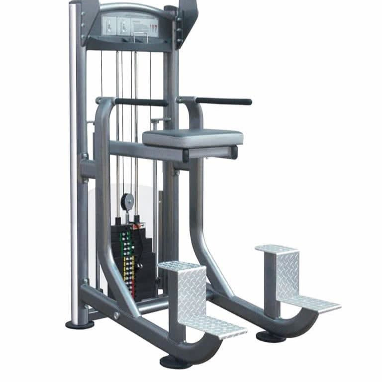 Impulse Fitness Weight Assisted Chin Dip Combo Machine IF9320 | Pull-Up & Dip Trainer