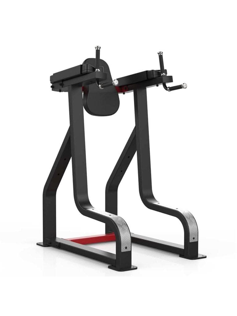 Impulse Fitness SL7045 Vertical Knee Raise / Dip Stand – Core & Upper Body Trainer (Black)