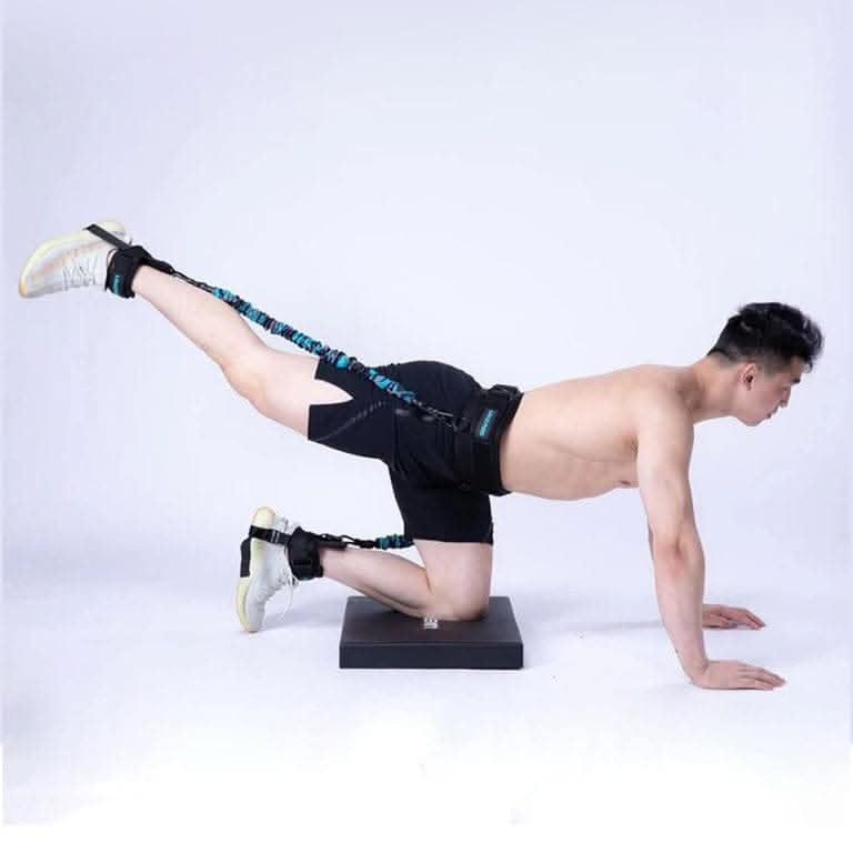 LivePro Jump Trainer | LP8429