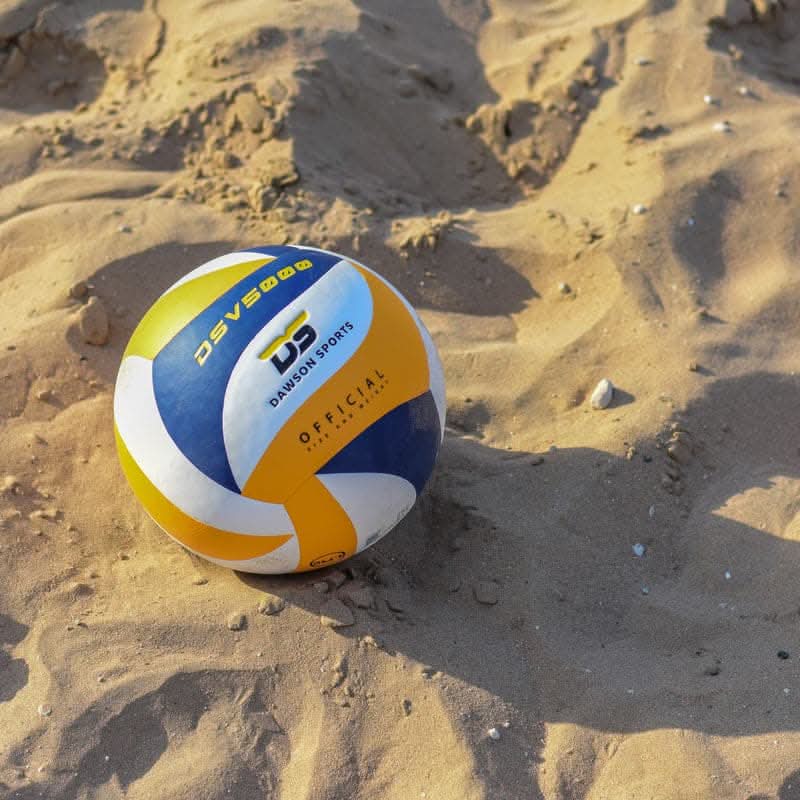 DS 5000 Volleyball - Size 5