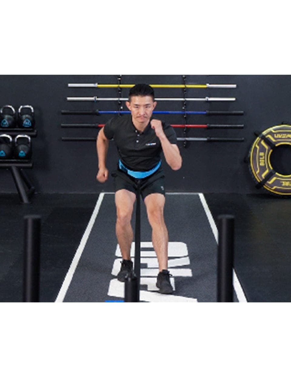 LivePro Dip Belt Pull Up Belt - Athletix.ae