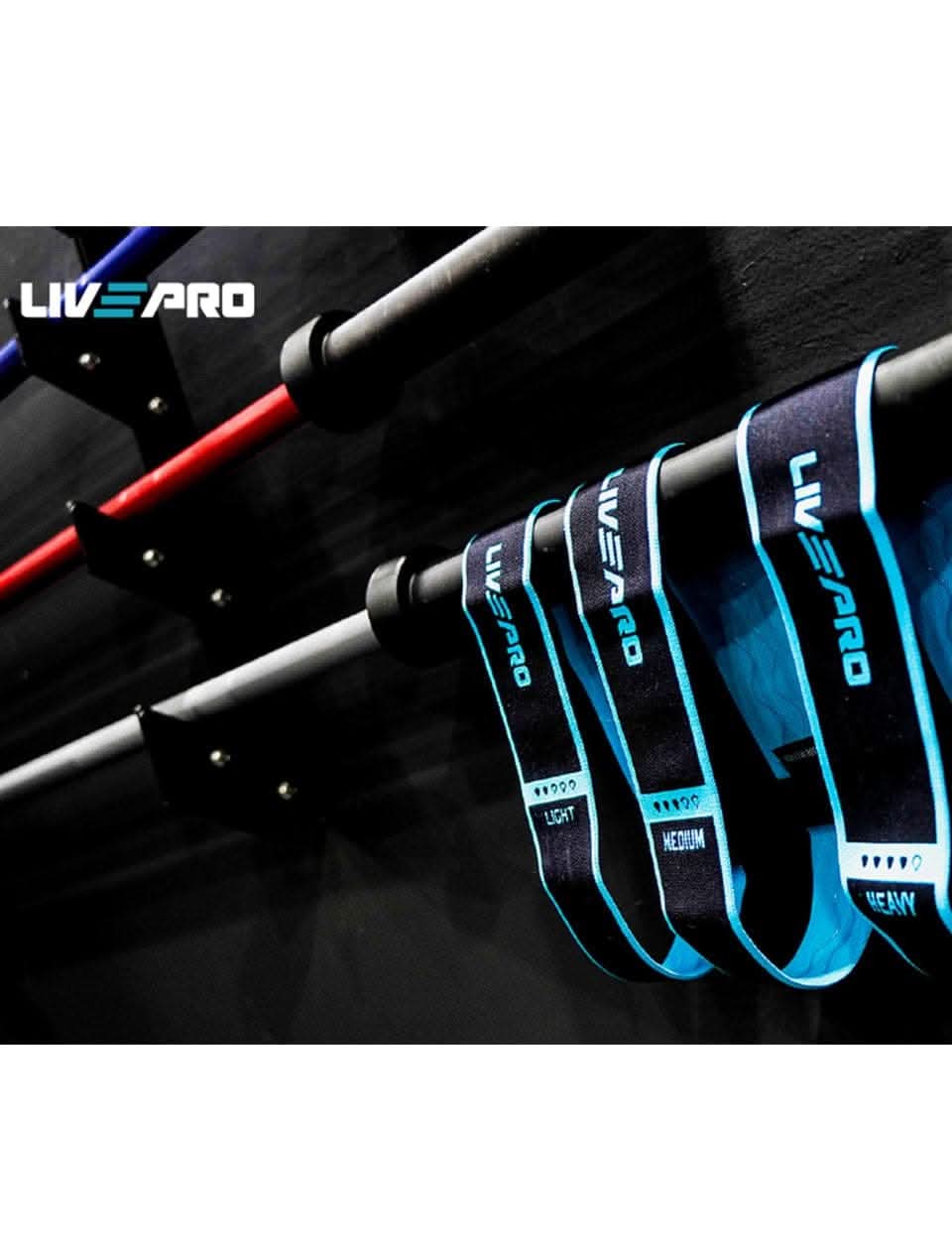 LivePro Resistance Fabric Loop Band